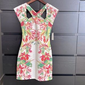 Lovers + friends bodycon dress